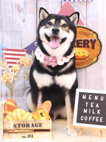 20240921ココくん